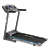 Беговая дорожка CARBON FITNESS T556